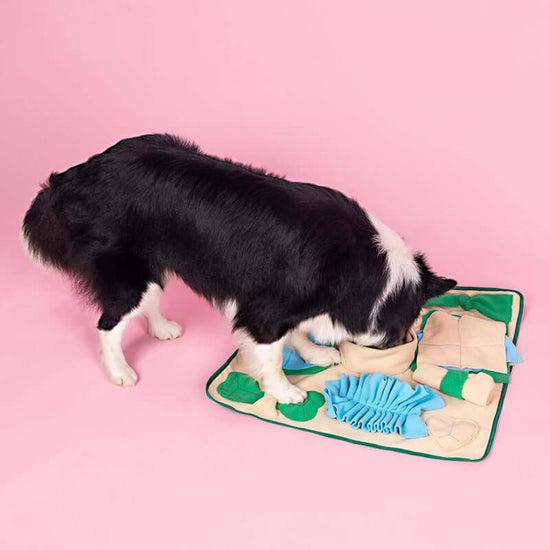 TAILTRAIL Snuffle Mat Nosework Feeding Puzzle for Dogs and Cats