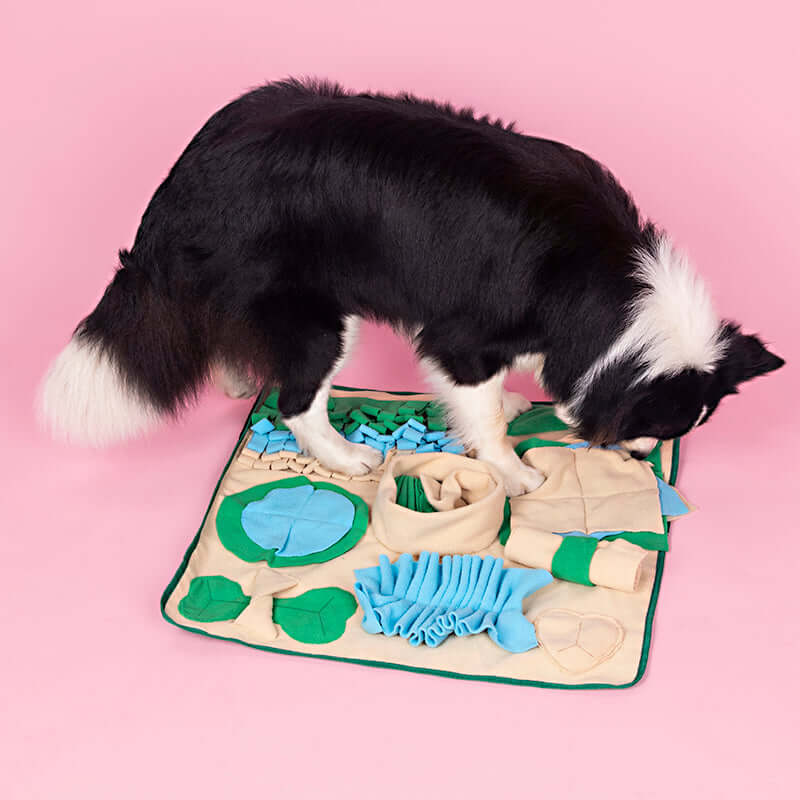 TAILTRAIL Snuffle Mat Nosework Feeding Puzzle for Dogs and Cats