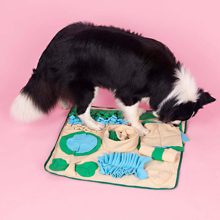 TAILTRAIL Snuffle Mat Nosework Feeding Puzzle for Dogs and Cats