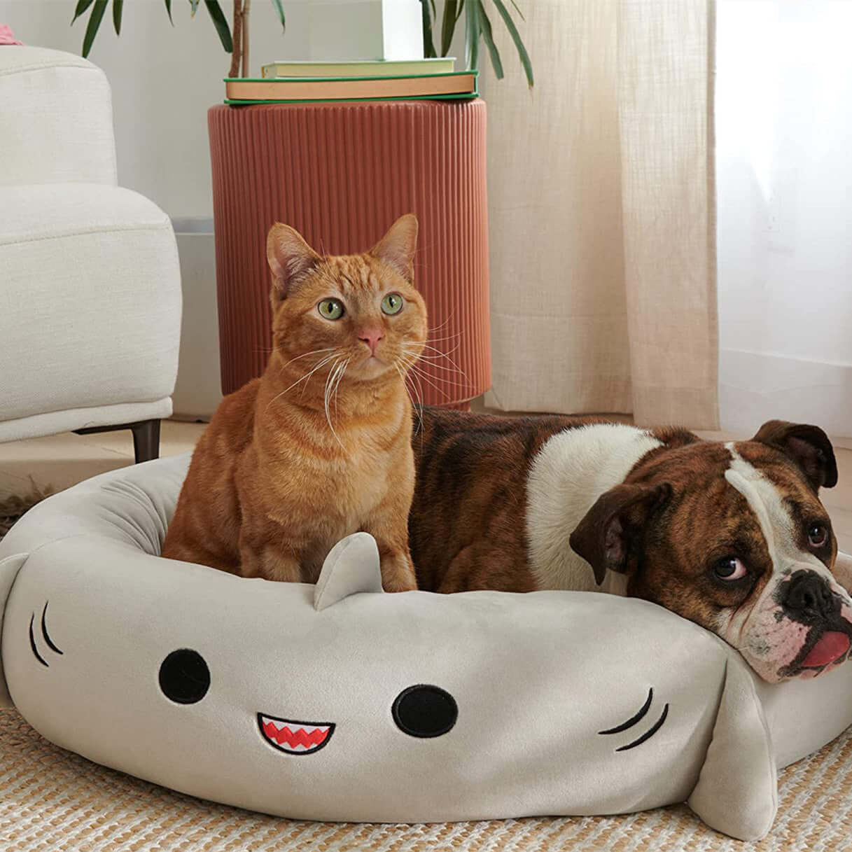 TAILTRAIL Super Soft Plush Bed Four Seasons Pet Pad