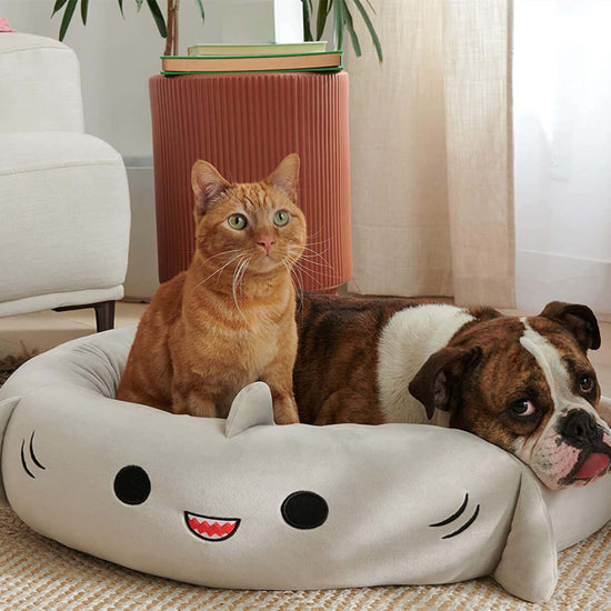 TAILTRAIL Super Soft Plush Bed Four Seasons Pet Pad