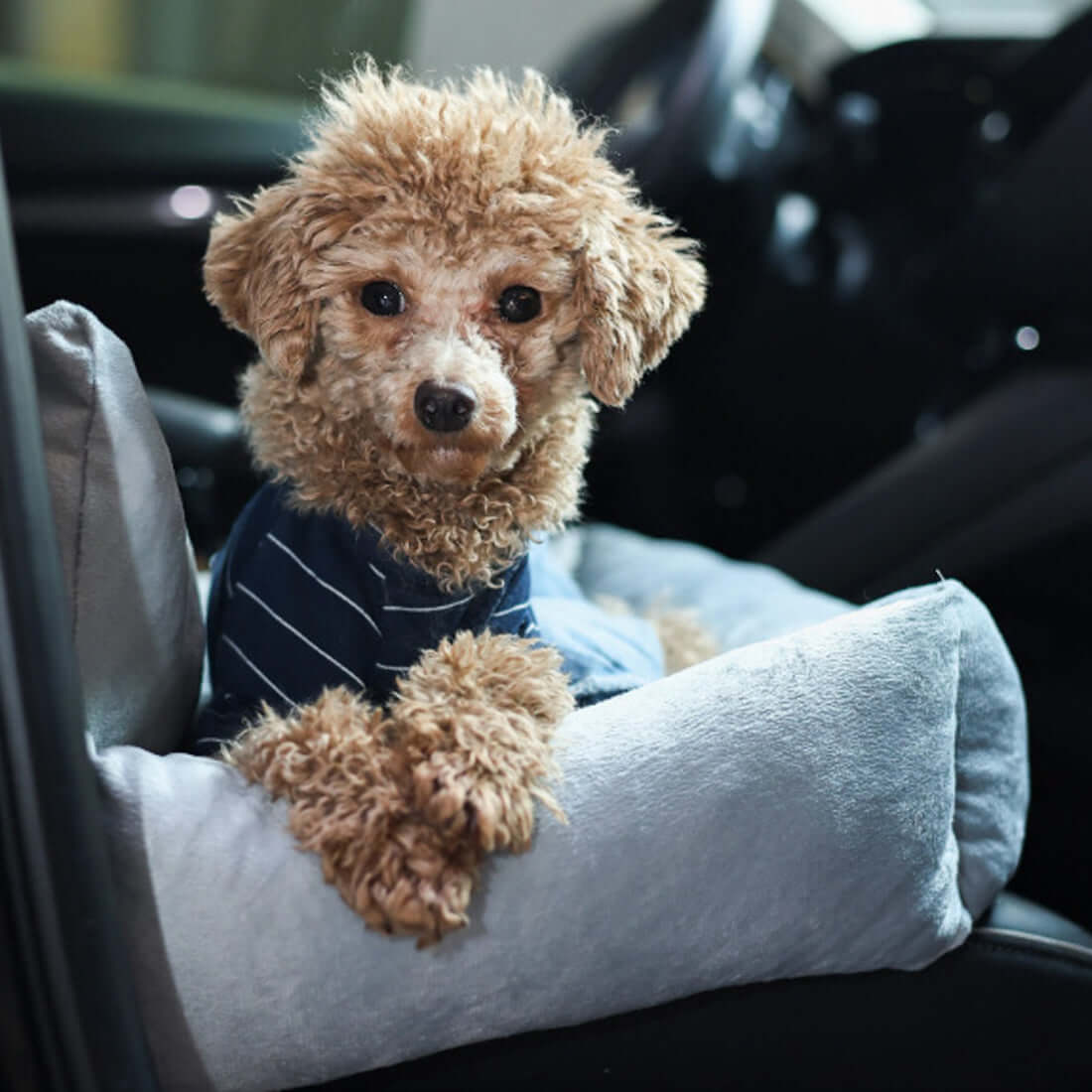 TAILTRAIL Travel Dog Bed Soft Washable Pet Cushion Gray