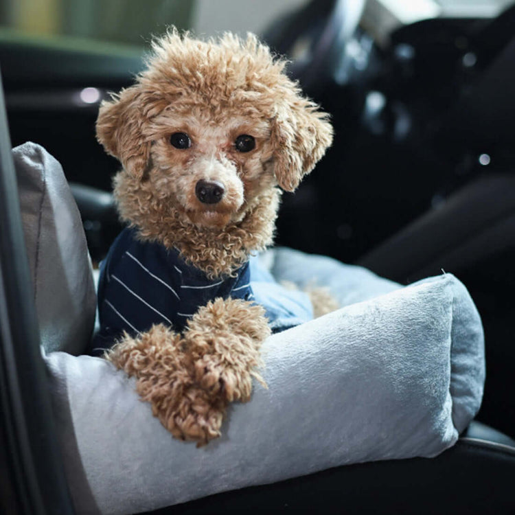 TAILTRAIL Travel Dog Bed Soft Washable Pet Cushion Gray