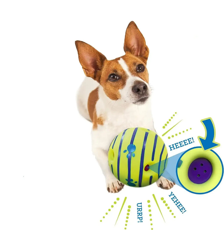 A playful dog with the Wobble Wag Giggle Glow Ball, perfect for fun adventures from TAILTRAIL.