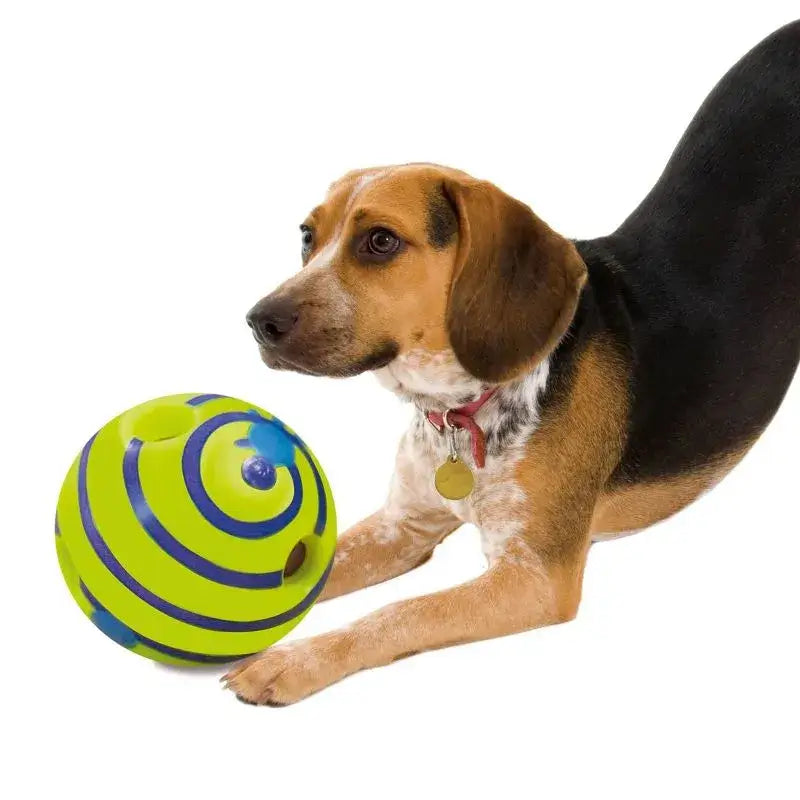 Beagle dog playing with TAILTRAIL Wobble Wag Giggle Glow Ball, vibrant green and blue design, fun for pets.
