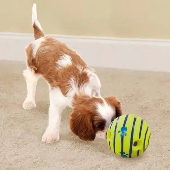 A puppy playing with the Wobble Wag Giggle Glow Ball, a fun toy for dogs from TAILTRAIL.